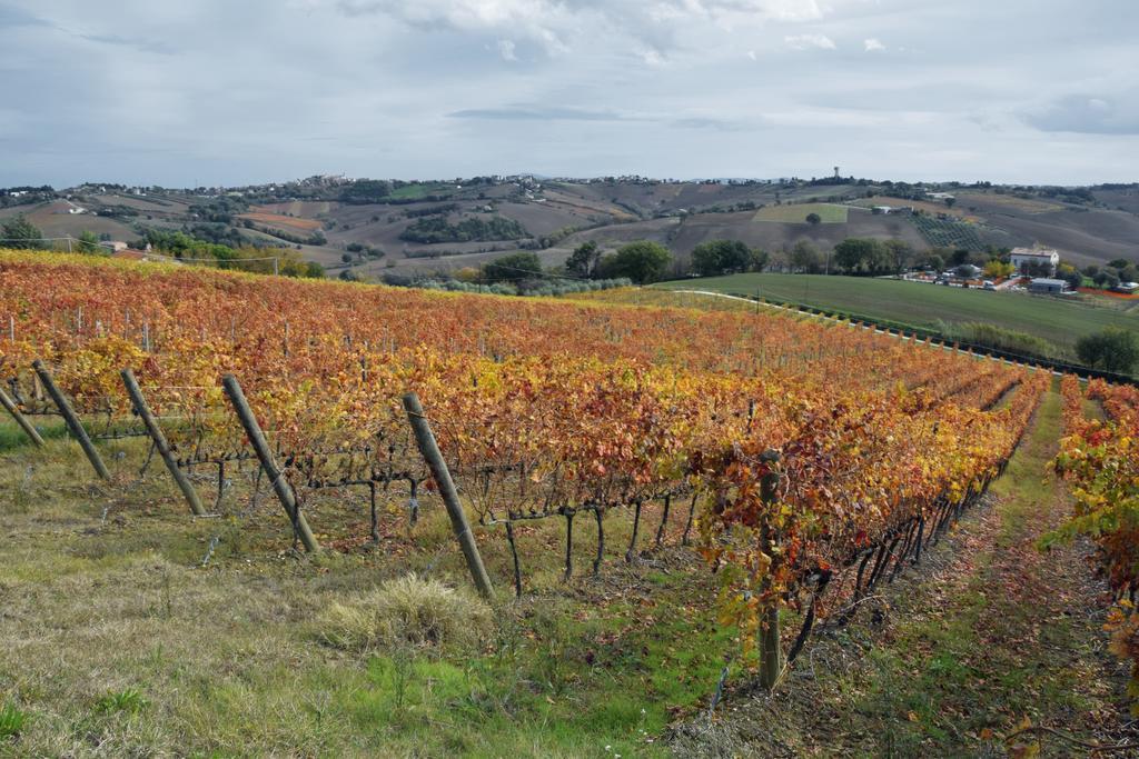 Agriturismo Al Rifugio Divino Belvedere Ostrense Buitenkant foto